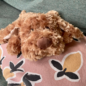 Manfred Knuffelhond