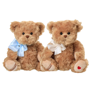 Classic Ludwig Teddybeer